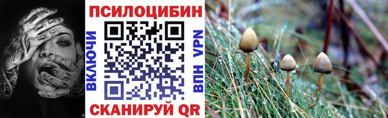 Псилоцибиновые грибы Magic Shrooms  Рудня 